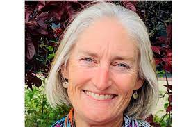 Rebecca Himschoot: Candidate for State House, An Elementary Educator Focused on Solving Problems