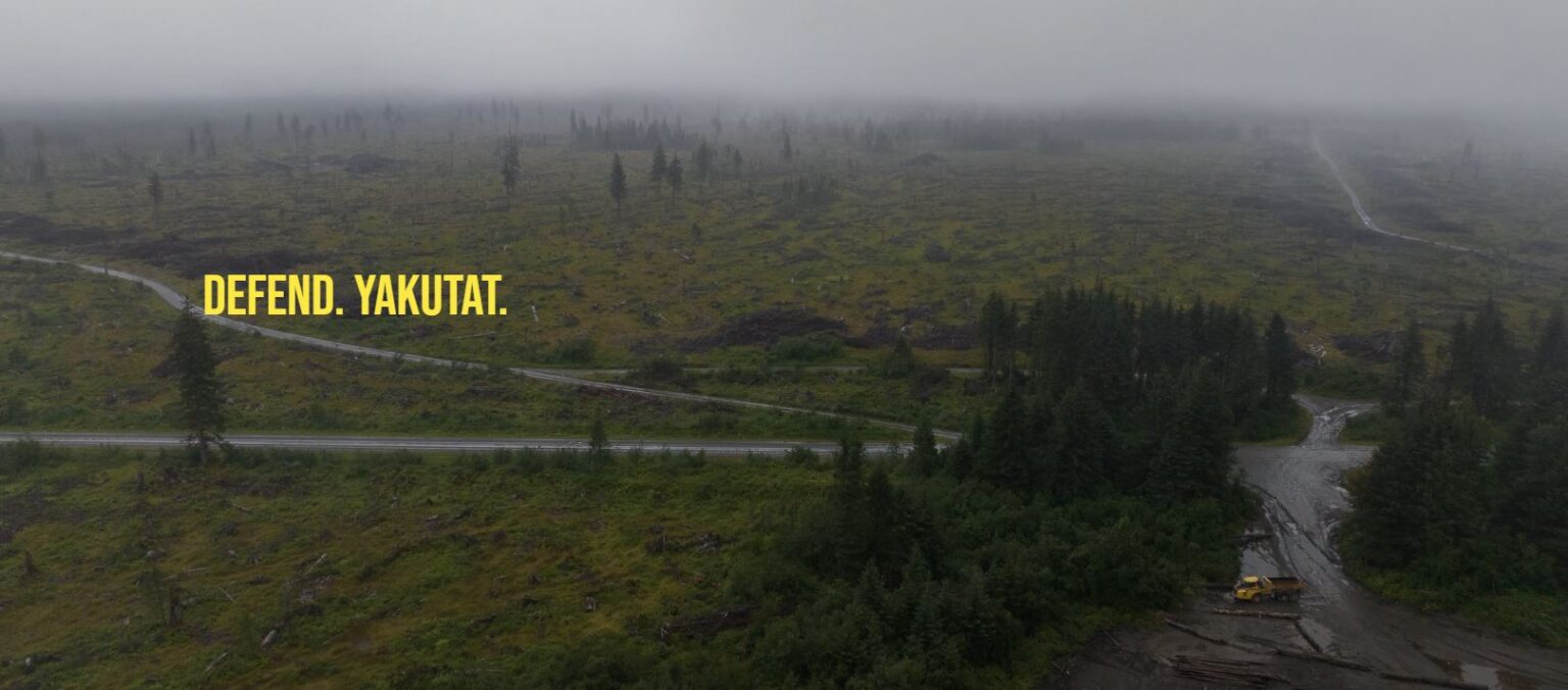 State fines Yakutat corporation for election violations KFSK