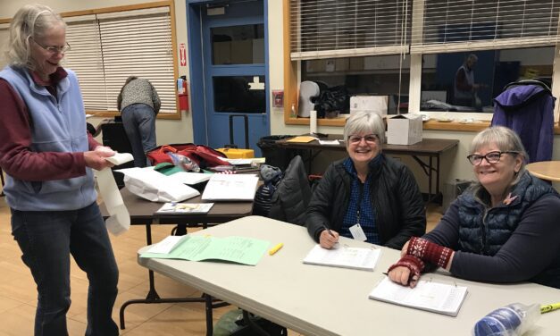 Poll Workers Tally Petersburg’s Midterm Ballots