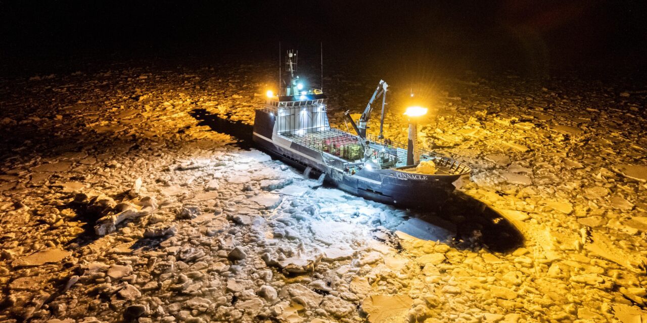Boom & Bust in the Bering Sea