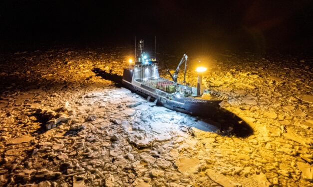 Boom & Bust in the Bering Sea