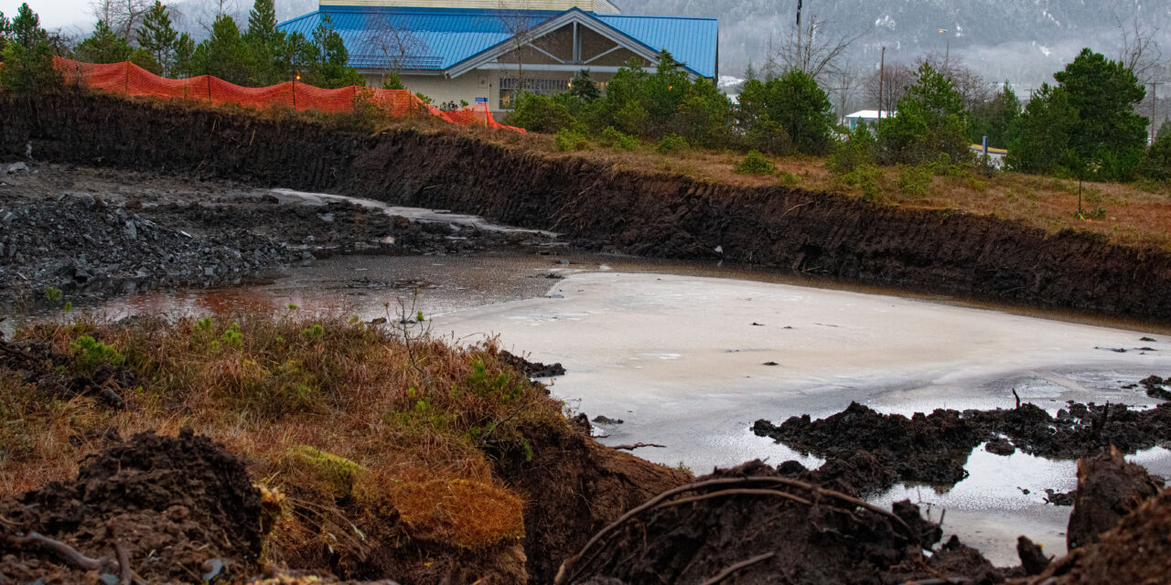 Hammer & Wikan’s prolonged project aims to patch supply chain holes