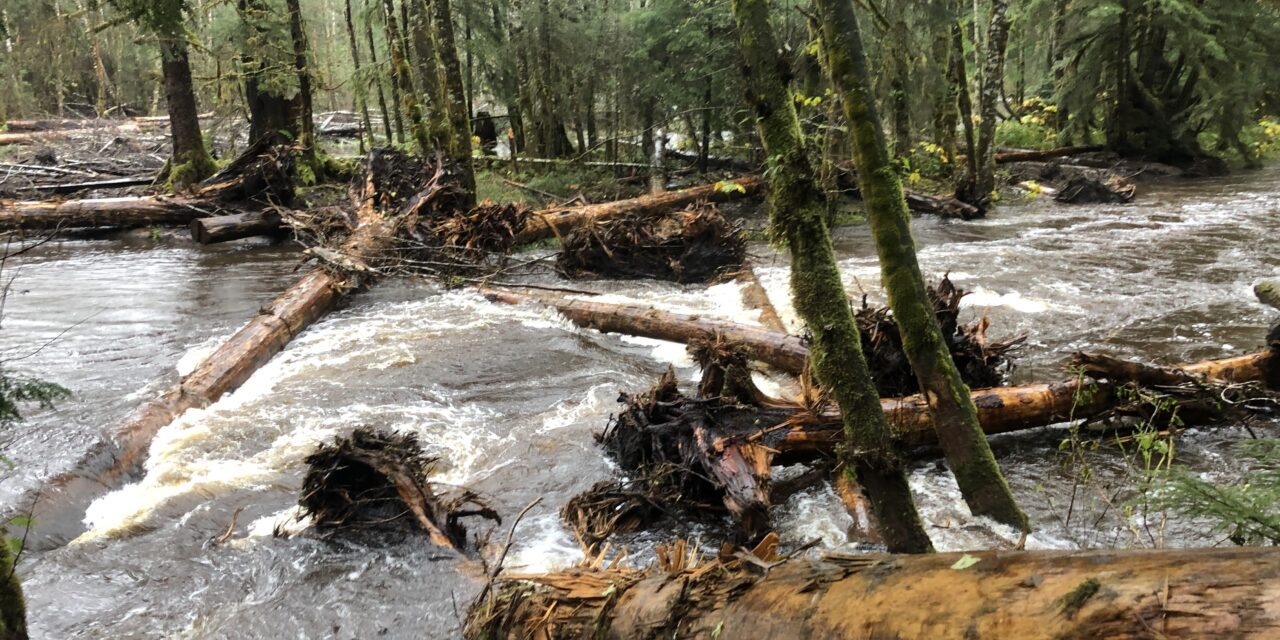 USFS hydrologist reports on Tongass watershed restoration