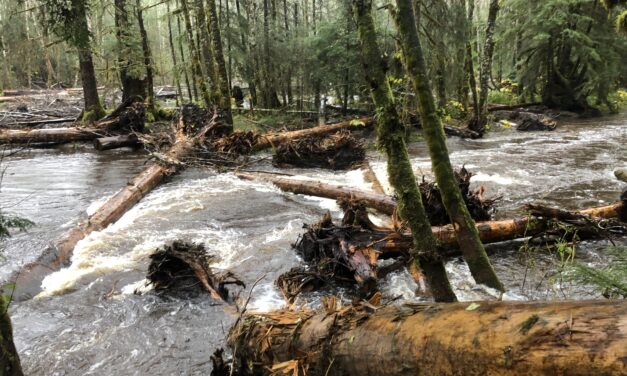USFS hydrologist reports on Tongass watershed restoration
