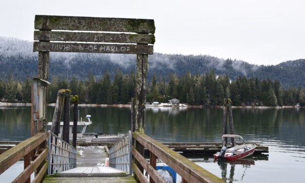 Petersburg Borough pursues Papke’s Landing float dock