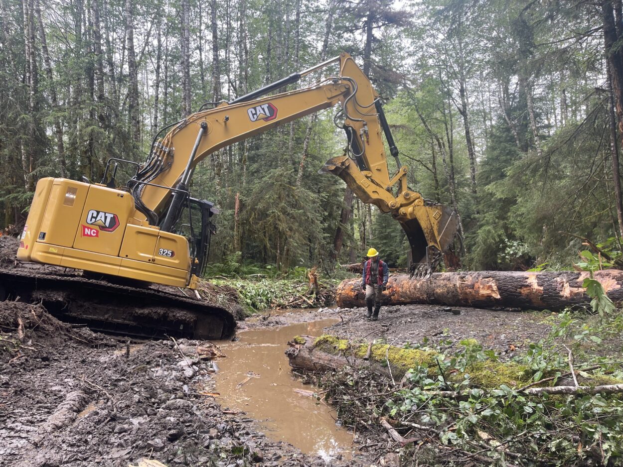 Heath Whitacre stands under the arm of an excavator in the middle of a dense forest. He is wearing a hard hat and work clothing. The shovel of the excavator rests on the trunk of a felled tree. Muddy water pools on the ground.