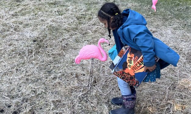 Petersburg’s Humane Association tends its flocks