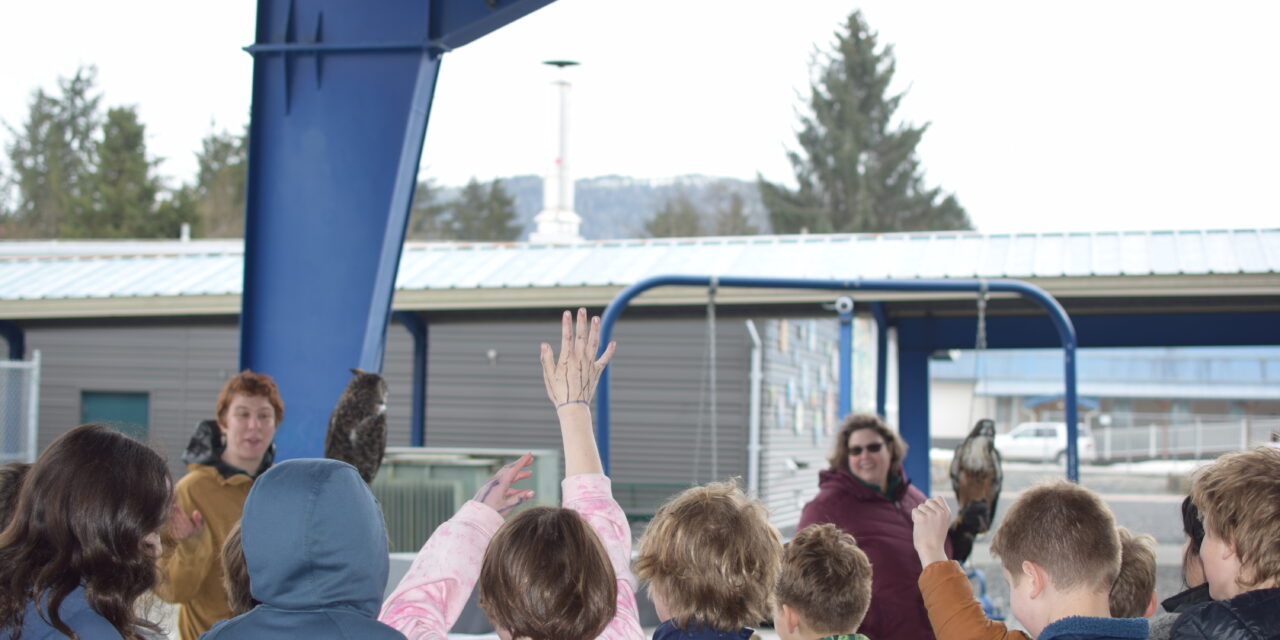 Sitka raptors visit Petersburg schools