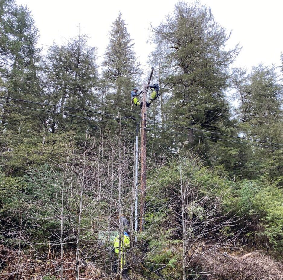 Two linemen work on top of a damaged power, while a third employee observes them from the ground. They are surrounded by trees.