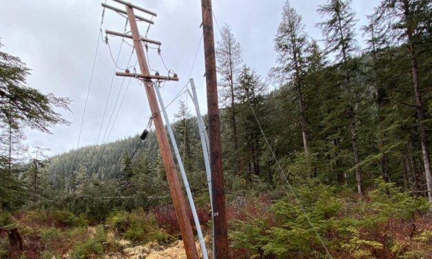 Easter Sunday windstorm fells trees, snaps power lines on the south end of Mitkof Island