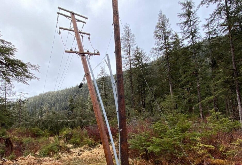 Easter Sunday windstorm fells trees, snaps power lines on the south end of Mitkof Island