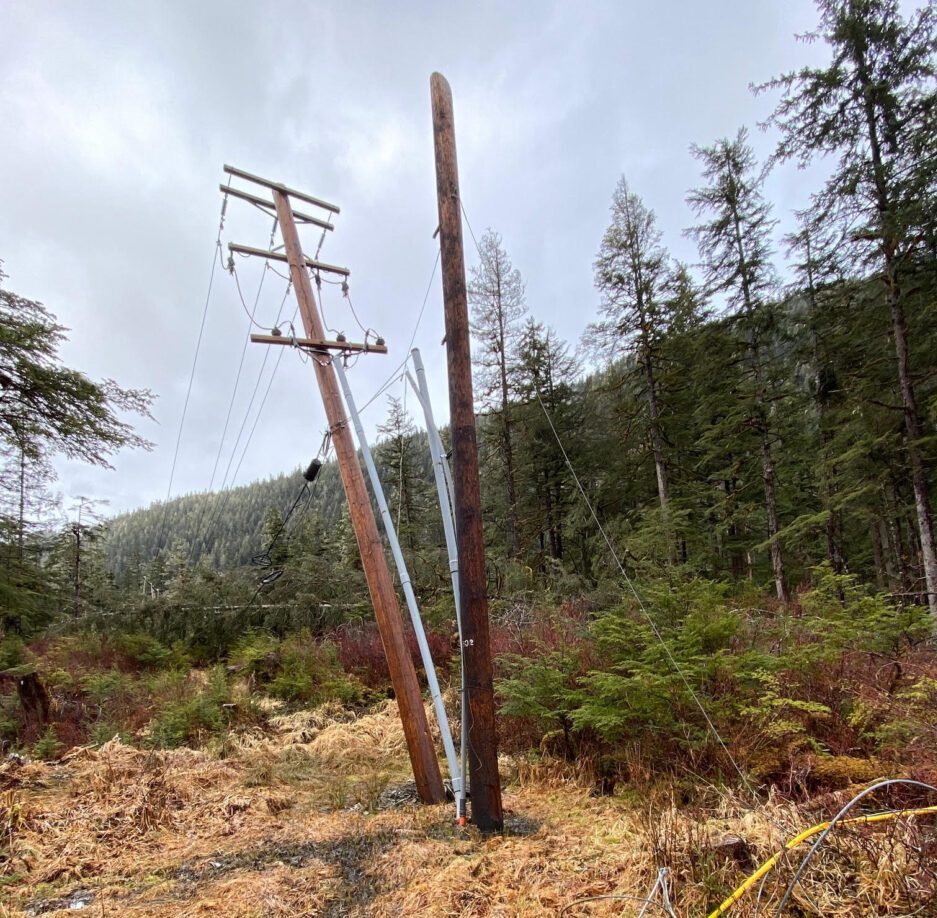 Two electrical poles in a forest clearing. One is crooked and its wires are pulled taught towards the ground.