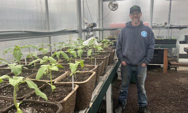 Petersburg’s groundskeeper prepares borough landscapes for spring