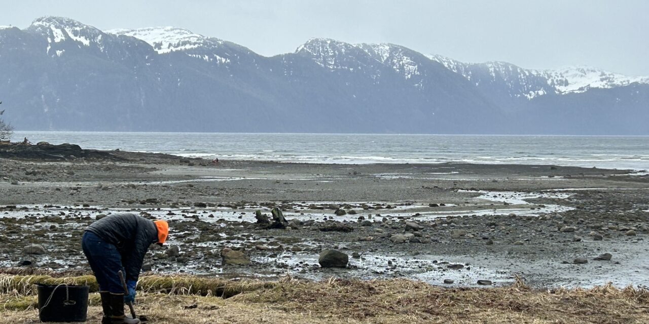 Rotary Club cleans junk out of Sandy Beach in advance of Easter Egg hunt