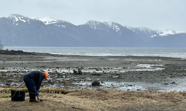 Rotary Club cleans junk out of Sandy Beach in advance of Easter Egg hunt