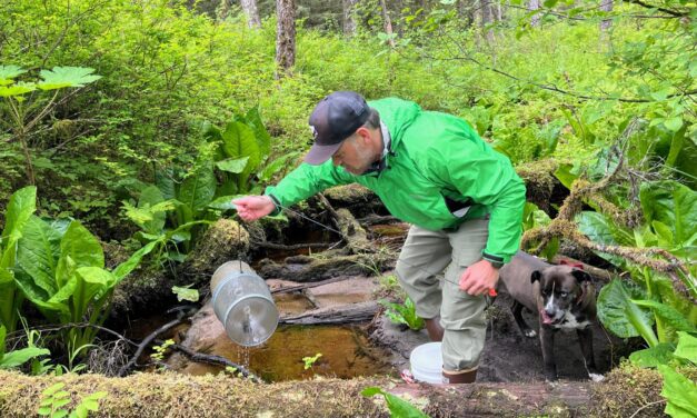 New phone app looks to Alaskans to help log migratory fish