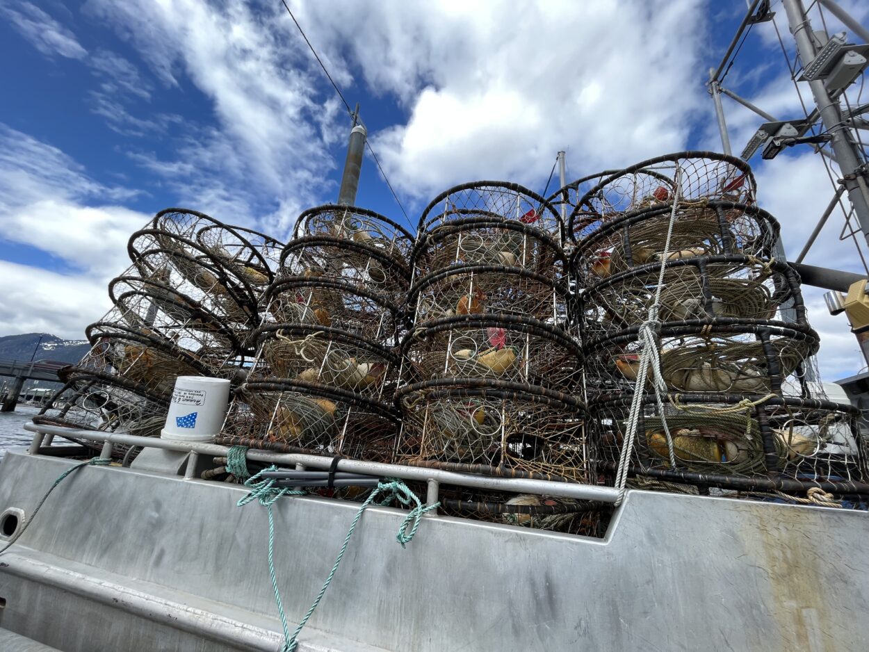 A couple dozen crab pots stacked in four rows.