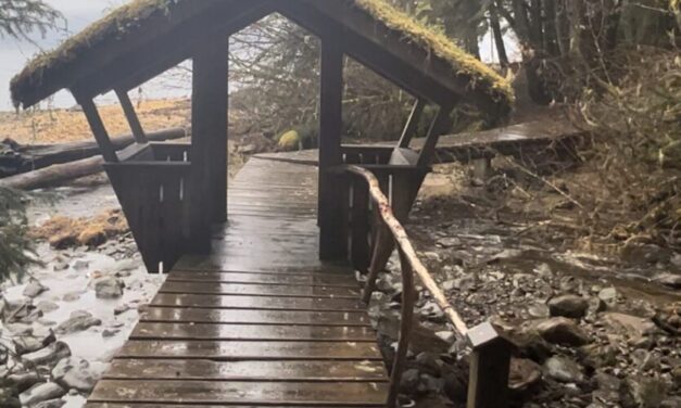 Audubon Alaska launches virtual birdwatching trail for Southeast Alaska