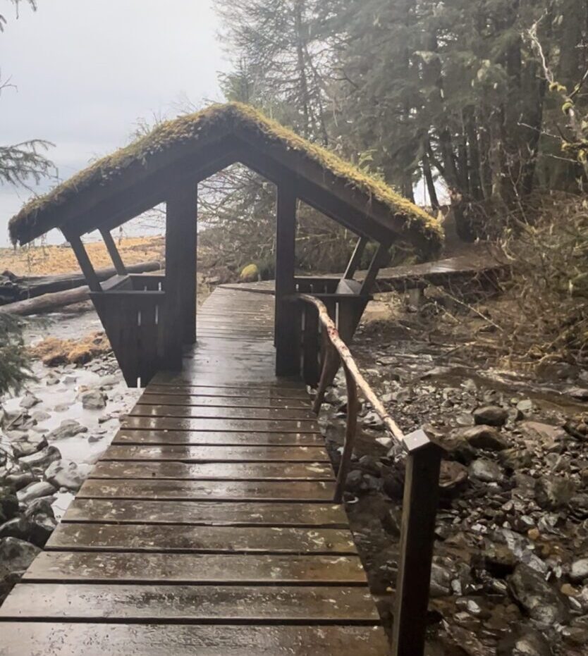 The boardwalk of the Sandy Beach Trial, which crosses over a creek and extends into the forest. There is a wooden pavilion sheltering a small portion of the boardwalk.