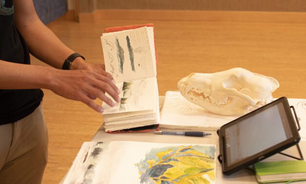 Petersburg Ranger District hosts science illustrator for artistic residency program