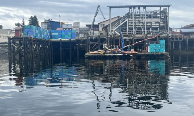 Trident Seafoods drops salmon prices due to flooding global markets