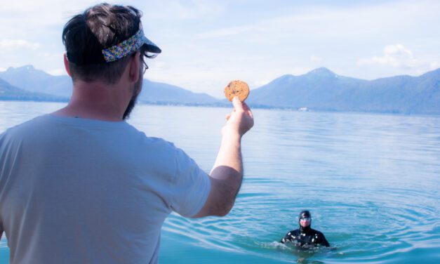Two swimmers cross Frederick Sound for first time in living memory