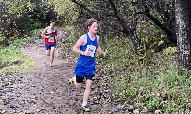 Viking cross country team heads to state