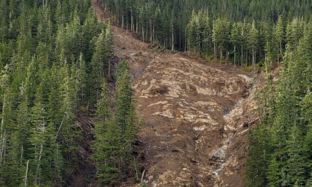 Remote landslide spills dangerous debris into LeConte Bay