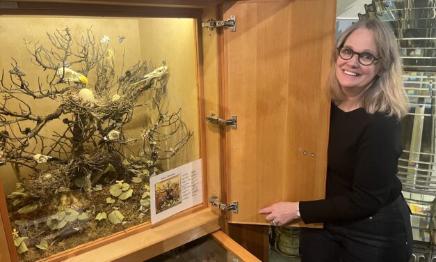 Petersburg’s museum has a new director