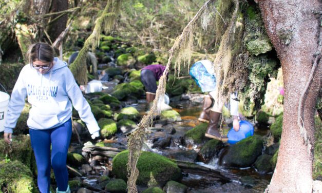 Petersburg High School students raise and release pink salmon