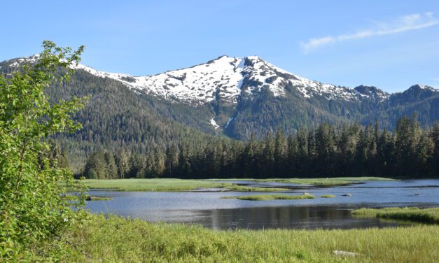 KFSK seeks intern for 2024!