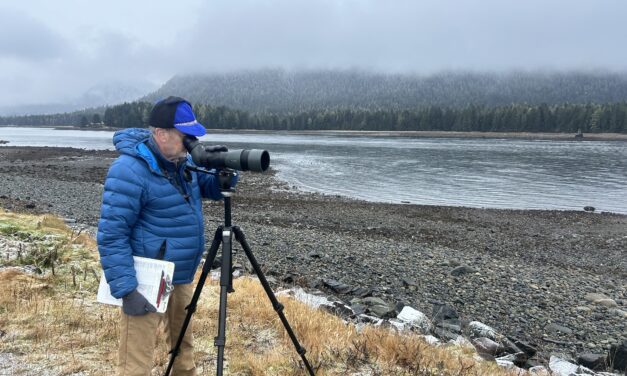 Petersburg Christmas Bird Count records highest number of birds in recent memory