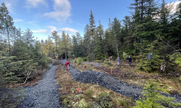 Lots of helping hands for Petersburg Bike Park