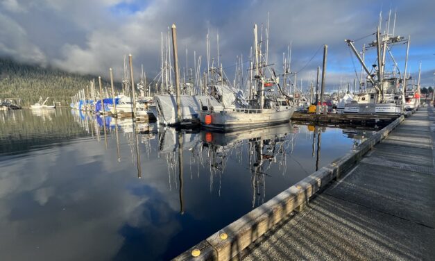 Electronic monitoring bill unpopular with fishermen at first hearing
