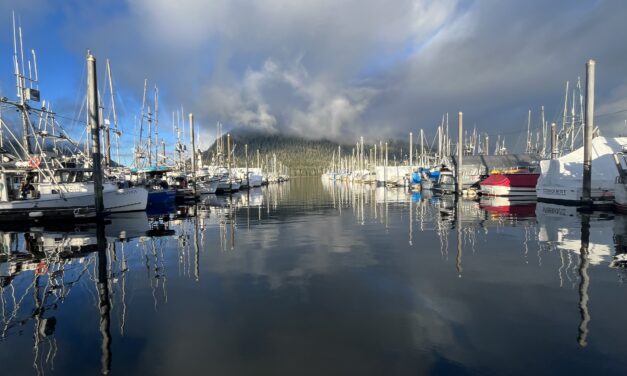 Bills makes electronic monitoring of state-regulated fisheries a possibility