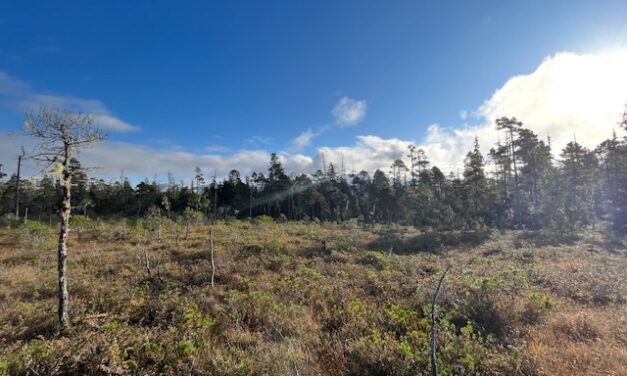 Petersburg Borough can now sell its land at below assessed or appraised value if it will benefit the public