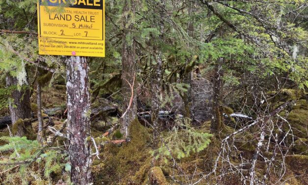 Trust Land Office may halt South Mitkof subdivision sale