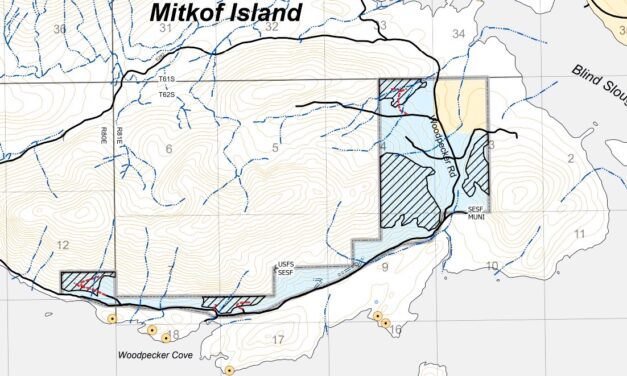 State of Alaska releases five-year timber sale plan for southern Southeast