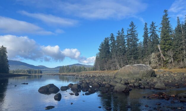 Board of Fisheries to hear management proposals for Blind Slough kings