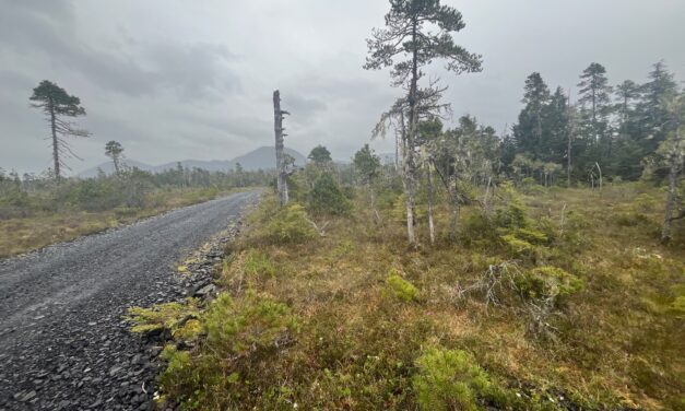 The South Mitkof Subdivision could be a good fit for a proposed infrastructure development program