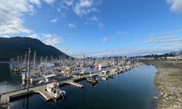 Many salmon runs expected to be fairly good this year