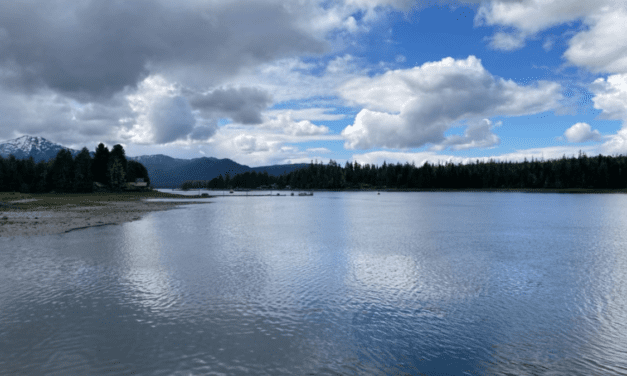 Bag limit reduced to one fish for Blind Slough kings in saltwater
