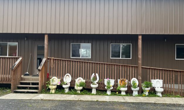 Water and wastewater upgrades could be on Petersburg’s ballot this fall