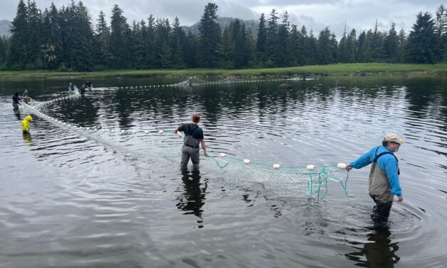Spawning kings get royal treatment