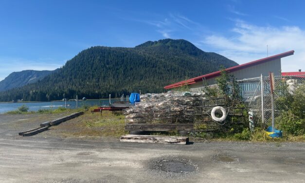 Borough Assembly to hear two competing bids for tideland lot