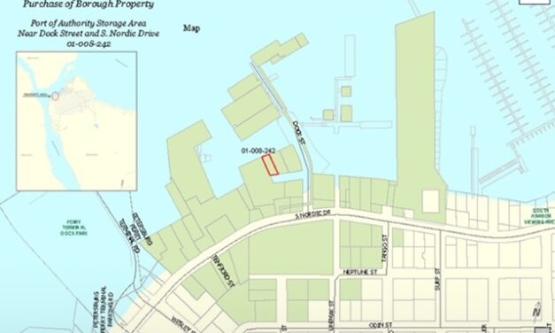 Assembly votes to sell second parcel at Dock St. to Island Refrigeration