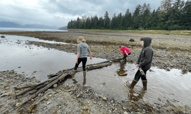 Baiting Curiosity: Petersburg summer camp hooks students on science