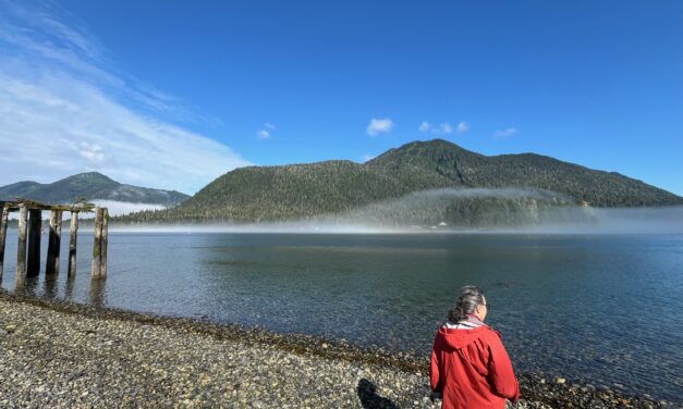 Phone-guided tour helps visitors and locals notice Petersburg’s natural wonders