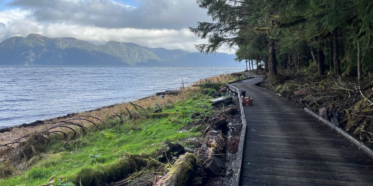 Commentary: The Sandy Beach Trail by Mike Schwartz