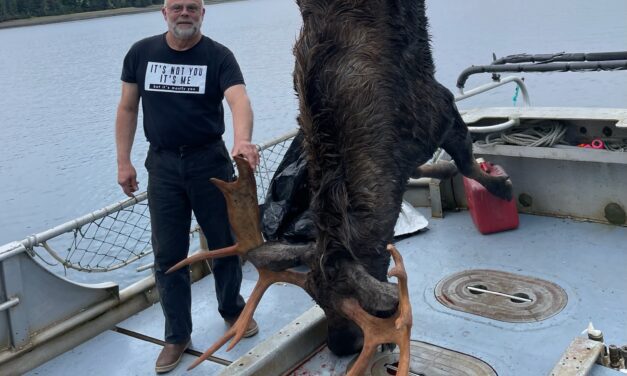 Lots of moose harvested in the Central Southeast hunt this year